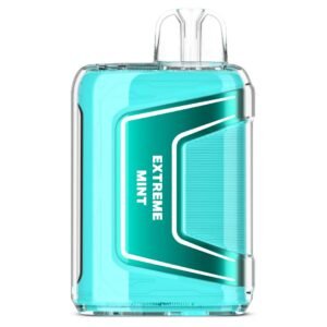 Chilly Beats Enjoy Pulse 15K Puffs Extreme Mint