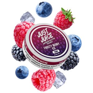 Pouch Just Juice Frosty Berry 10mg