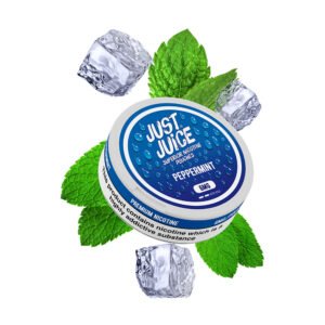 Pouch Just Juice Peppermint 6mg
