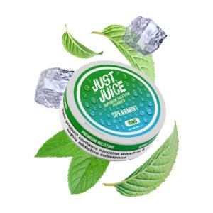 Pouch Just Juice Spearmint 10mg