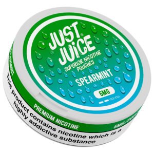 Pouch Just Juice Spearmint 6mg